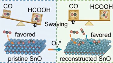 Les électrocatalyseurs à base de SNO révèlent des informations clés sur la réduction du CO₂