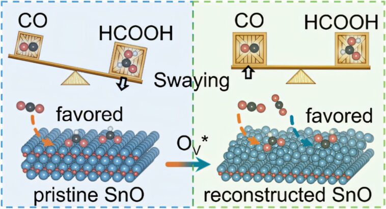 Les électrocatalyseurs à base de SNO révèlent des informations clés sur la réduction du CO₂
