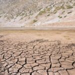 Les enregistrements des anneaux d'arbres révèlent des changements de sécheresse basés sur le climat à travers l'Europe et l'Asie