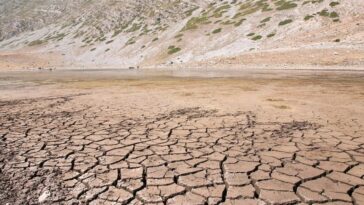 Les enregistrements des anneaux d'arbres révèlent des changements de sécheresse basés sur le climat à travers l'Europe et l'Asie