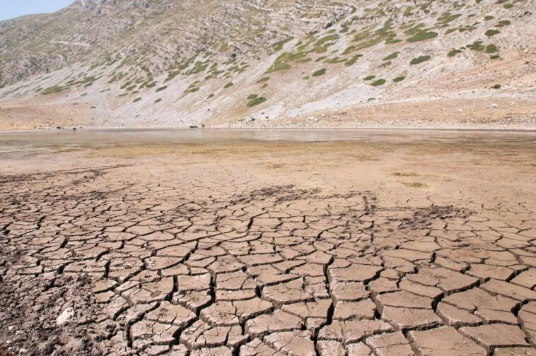 Les enregistrements des anneaux d'arbres révèlent des changements de sécheresse basés sur le climat à travers l'Europe et l'Asie