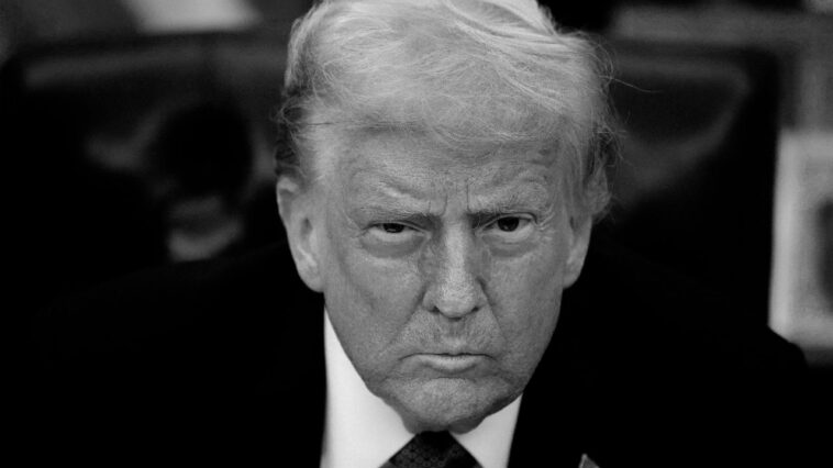 Les géants des médias s'installent avec Donald Trump créent un précédent «dangereux»