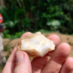 Une photo d'une main tenant une pierre blanche devant un feuillage vert dense avec deux personnes en focus en arrière-plan
