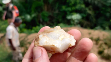 Une photo d'une main tenant une pierre blanche devant un feuillage vert dense avec deux personnes en focus en arrière-plan