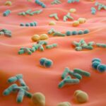 Les microbes `` sexome '' échangés pendant les relations sexuelles pourraient aider les enquêtes médico-légales