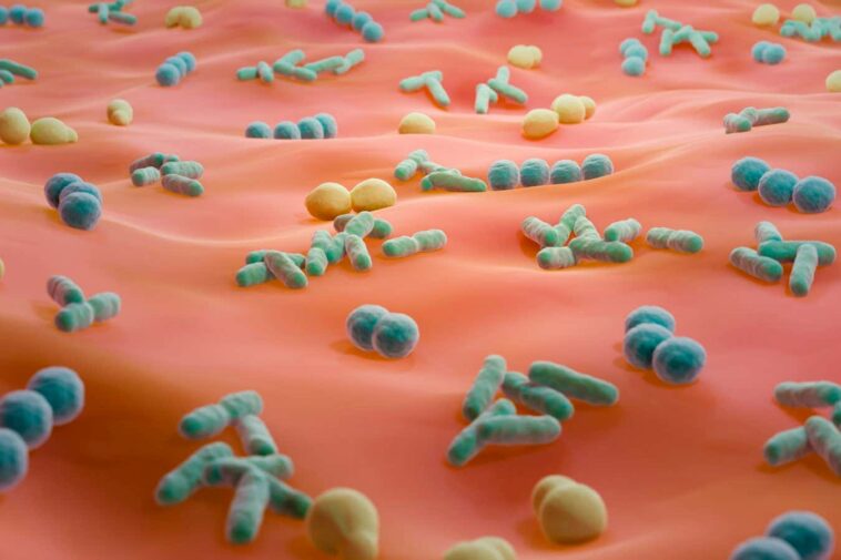 Les microbes `` sexome '' échangés pendant les relations sexuelles pourraient aider les enquêtes médico-légales