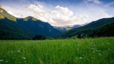 Les nations sont de retour de 200 milliards de dollars par an pour inverser les pertes de la nature