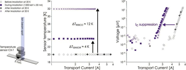 Les neutrons compromettent-ils le fonctionnement des aimants supraconducteurs dans une usine de fusion?
