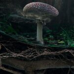 Fly Agaric (detail) ? Marshmallow Laser Feast