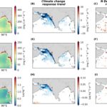 Les polluants atmosphériques étonnamment utiles pour compenser la baisse de la productivité primaire dans l'océan Indien Les polluants atmosphériques étonnamment utiles pour compenser la baisse de la productivité primaire dans l'océan Indien