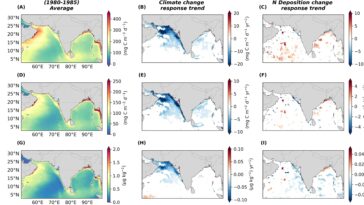 Les polluants atmosphériques étonnamment utiles pour compenser la baisse de la productivité primaire dans l'océan Indien