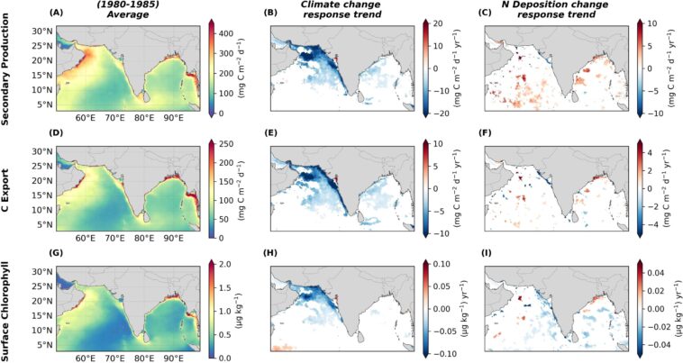 Les polluants atmosphériques étonnamment utiles pour compenser la baisse de la productivité primaire dans l'océan Indien Les polluants atmosphériques étonnamment utiles pour compenser la baisse de la productivité primaire dans l'océan Indien