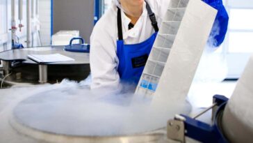 Les tranches de cerveau de souris ont ramené à la vie après avoir été gelée pendant une semaine