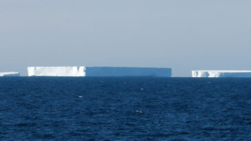 Mega-Ideberg d'Antarctique se dirige vers la Géorgie du Sud - voici ce qui pourrait arriver