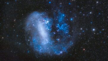 Large Magellanic Cloud