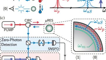 Ne peut-il rien faire… faire quelque chose? Vibrations de refroidissement avec détection de photons zéro