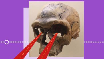 New Scientist. Science news and long reads from expert journalists, covering developments in science, technology, health and the environment on the website and the magazine.