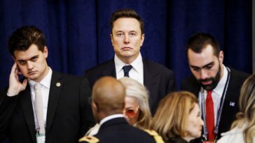 Pourquoi Elon Musk est-il si déterminé à bulldozer le gouvernement?