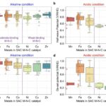Pourquoi les catalyseurs M - N - C de liaison faible défient les attentes dans les réactions de réduction de l'oxygène