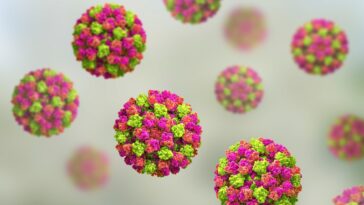 Pourquoi un vaccin au norovirus n'est pas disponible - encore