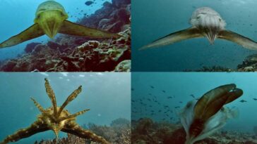 New Scientist. Science news and long reads from expert journalists, covering developments in science, technology, health and the environment on the website and the magazine.