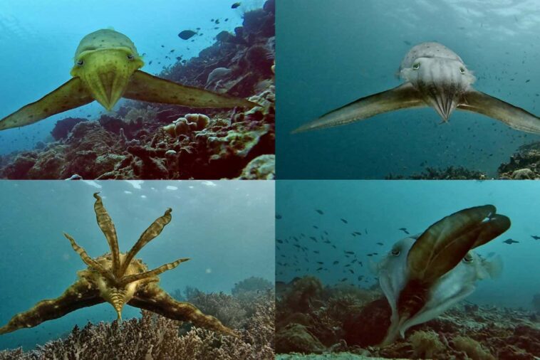 New Scientist. Science news and long reads from expert journalists, covering developments in science, technology, health and the environment on the website and the magazine.