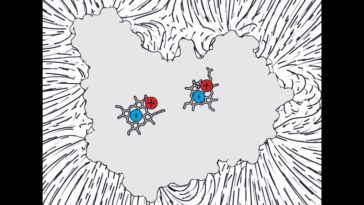 Une protéine contradictoire accepte facilement les électrons malgré une charge fortement négative