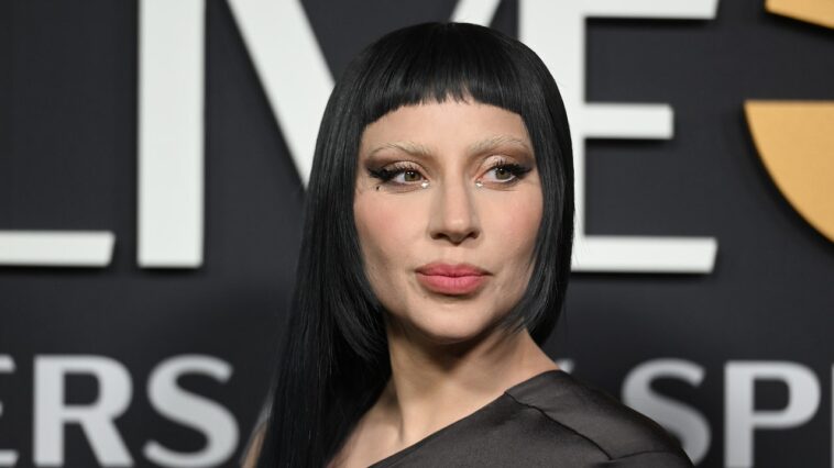 Lady Gaga est «ravie d'être maman»