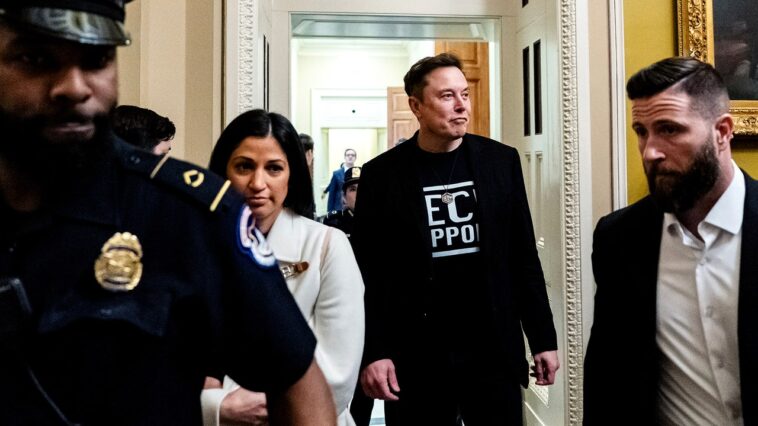 "Elon ne sera pas rallumé": à l'intérieur d'un cabinet Trump, tentative de vérifier Elon Musk