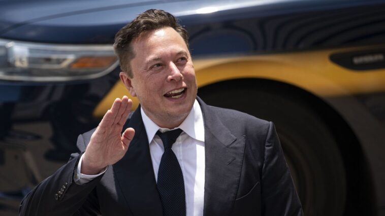 Elon Musk a «riposté financièrement» contre le 13e enfant, affirme Ashley St. Clair