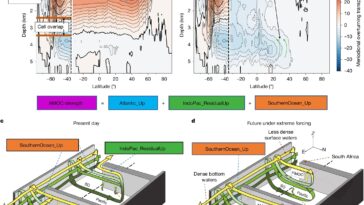 AMOC est peu susceptible de s'effondrer ce siècle malgré les pressions du changement climatique, le modèle suggère