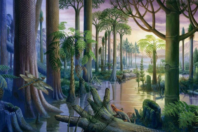 Accueil captivant de la façon dont les plantes et les animaux se sont en forme Illustrator?s signature must be included in all reproductions Carboniferous forest. Illustration of a flooded forest containing primitive plant species and fauna that existed during the Carboniferous period (360 to 286 million years ago). At bottom centre is a Hylonomus reptile. Its prey, a giant dragonfly (Meganeura monyi) is at left. The plants included Lepidodendron, an ancient lycopod also known as a scale tree. The Carboniferous forests gave rise to the coal deposits that fuel industry today.