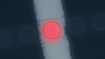 Boosting de la vitesse de réponse des LED quantiques via un effet de mémoire d'excitation