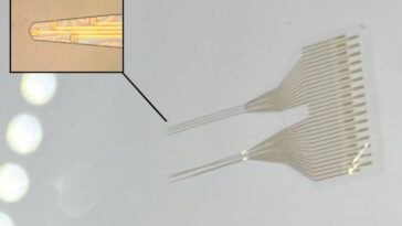 Chance Discovery Améliore la stabilité des matériaux bioélectroniques utilisés dans les implants médicaux, l'informatique et les biocapteurs