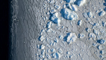 `` Changement structurel '' identifié dans le système de glace de mer de l'Antarctique