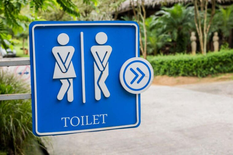 2CBM20E Humorous blue public toilet sign, Koh Samui, Thailand