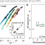 D-Wave affirme que ses ordinateurs quantiques peuvent résoudre un problème de pertinence scientifique beaucoup plus rapidement que les méthodes classiques D-Wave affirme que ses ordinateurs quantiques peuvent résoudre un problème de pertinence scientifique beaucoup plus rapidement que les méthodes classiques