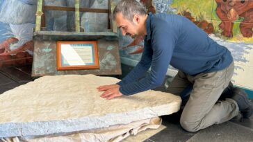 Des dizaines d'empreintes de pas de dinosaure trouvées dans le rock à l'école australienne