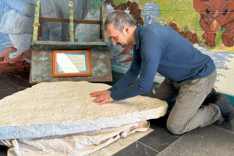 Des dizaines d'empreintes de pas de dinosaure trouvées dans le rock à l'école australienne