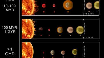 Dévoiler la chorégraphie cosmique qui façonne la taille et l'emplacement des sous-neptunes
