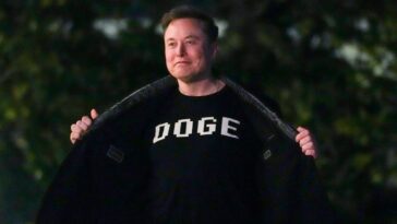 Elon Musk vient pour votre sécurité sociale