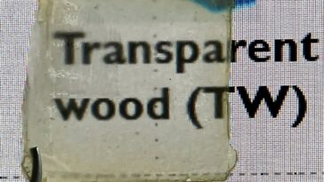 Faire du bois robuste et semi-transparent avec des matériaux naturels bon marché