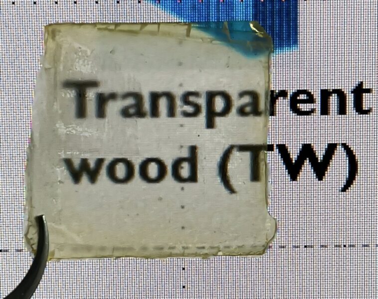 Faire du bois robuste et semi-transparent avec des matériaux naturels bon marché