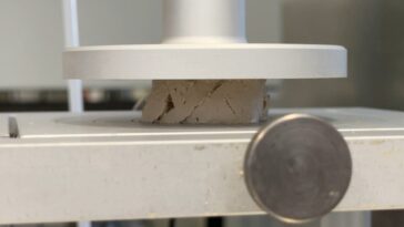 Fausse gras? Les scientifiques arborent la version «plus éthique» de la délicatesse française