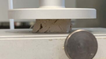 Foie gras fabriqué sans alimentation en force grâce au mimétisme moléculaire