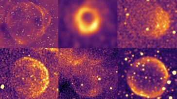 `` Ghosts of the Radio Universe ': les astronomes ont découvert une multitude d'objets circulaires faibles