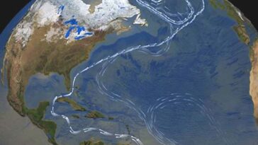 Il est peu probable que le courant de l'océan vital ferme complètement ce siècle