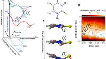 Instantané des rayons X: comment la lumière plie une substance active