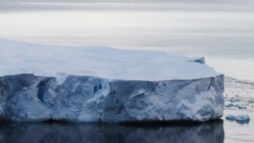 Instantané du passé de l'Antarctique aide à prédire le climat futur