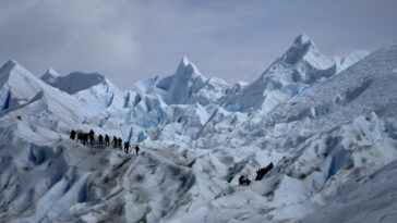 Journée mondiale des glaciers: trekking la glace bleue de Perito Moreno en Argentine